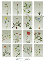 Indlæs billede til gallerivisning vestjylland | STEDSPLAKAT | FLORA BY FLOWERY - decoARTE