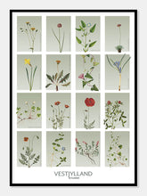 Indlæs billede til gallerivisning vestjylland | STEDSPLAKAT | FLORA BY FLOWERY - decoARTE
