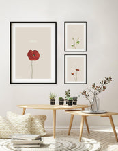 Indlæs billede til gallerivisning skovsyre | VILDBLOMSTER BY FLOWERY | UPCYCLED BY DECOARTE - decoARTE