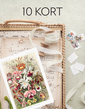 Indlæs billede til gallerivisning 10 Ernst Haeckel kort