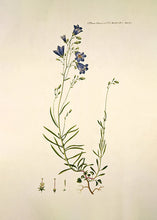 Indlæs billede til gallerivisning liden klokke