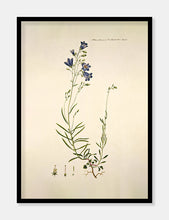 Indlæs billede til gallerivisning liden klokke