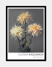 Indlæs billede til gallerivisning omo-se-yama | OGAWA KAZUMASA - decoARTE