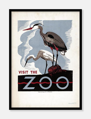 hejrer  |  PENNSYLVANIA ZOO  |  ZOOPLAKAT - decoARTE