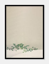 Indlæs billede til gallerivisning grønne planter  |  KAMISAKA SEKKA  |  UPCYCLED BY DECOARTE - decoARTE
