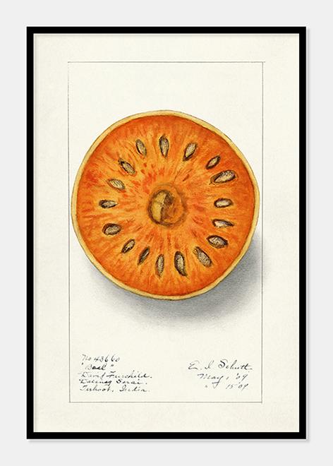 rude  |  ELLEN ISHAM SCHUTT - decoARTE