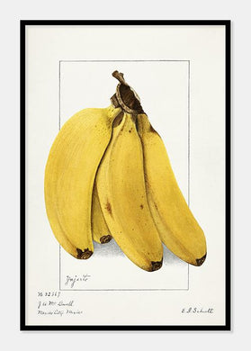 bananer  |  ELLEN ISHAM SCHUTT - decoARTE