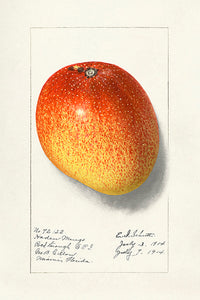 10 frugtkort
