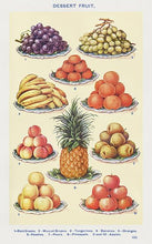 Indlæs billede til gallerivisning frugt  |  MRS. BEETON&#39;S BOOK OF HOUSEHOLD MANAGEMENT - decoARTE
