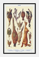 vildt  |  FJERKRÆ  |  MRS. BEETON'S BOOK OF HOUSEHOLD MANAGEMENT - decoARTE