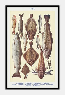 fisk  |  MRS. BEETON'S BOOK OF HOUSEHOLD MANAGEMENT - decoARTE