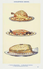 Indlæs billede til gallerivisning chaudfroid retter  |  MRS. BEETON&#39;S BOOK OF HOUSEHOLD MANAGEMENT - decoARTE
