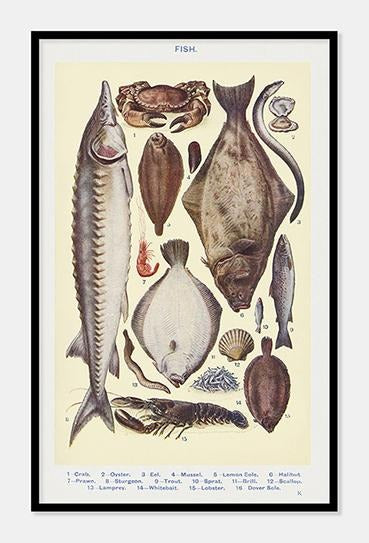fisk  |  MRS. BEETON'S BOOK OF HOUSEHOLD MANAGEMENT - decoARTE