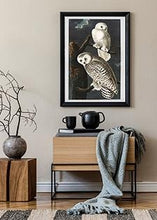 Indlæs billede til gallerivisning sneugler  |  JOHN JAMES AUDUBON - decoARTE
