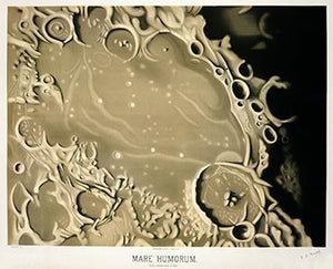 mare humorum  |  ETIENNE LEOPOLD TROUVELOT - decoARTE