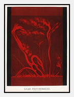 solstorm  |  ETIENNE LEOPOLD TROUVELOT - decoARTE