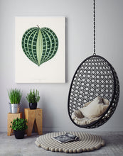 Indlæs billede til gallerivisning seersucker plant  |  BENJAMIN FAWCETT  |  DECOARTE - decoARTE
