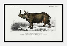 Indlæs billede til gallerivisning indisk næsehorn  |  CHARLES DESSALINES D&#39;ORBIGNY - decoARTE
