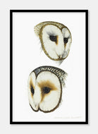 ugle  |  ELIZABETH GOULD - decoARTE