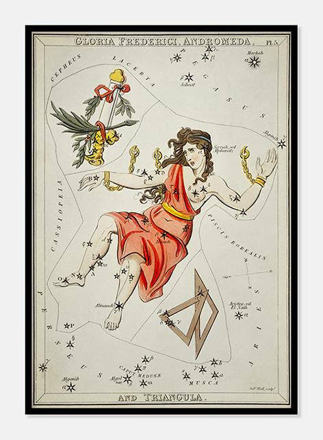 stjernebilledet andromeda  |  SIDNEY HALL - decoARTE