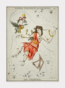 stjernebilledet andromeda  |  SIDNEY HALL - decoARTE