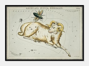 stjernebillederne vædderen og fluen, aries og musca  |  SIDNEY HALL - decoARTE