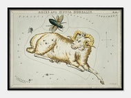 stjernebillederne vædderen og fluen, aries og musca  |  SIDNEY HALL - decoARTE