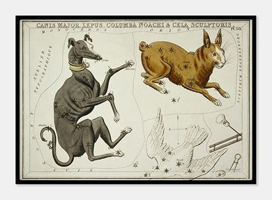 stjernebillederne hunden og kaninen  |  SIDNEY HALL - decoARTE