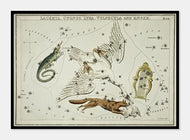 stjernebillede lacerta, cygnus, lyra, vulpecula og anser  |  SIDNEY HALL - decoARTE