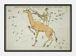 stjernebilledet giraffen  |  SIDNEY HALL - decoARTE