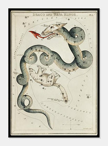 stjernebilledet lillebjørn og dragen  |  SIDNEY HALL - decoARTE