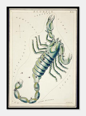 stjernebilledet skorpionen  |  SIDNEY HALL - decoARTE