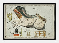stjernebilledet hvalfisken  |  SIDNEY HALL - decoARTE