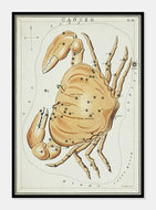 stjernebilledet krebsen  |  SIDNEY HALL - decoARTE