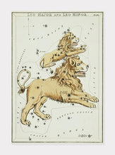 Indlæs billede til gallerivisning stjernetegnet løven  |  SIDNEY HALL - decoARTE
