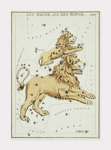 stjernetegnet løven  |  SIDNEY HALL - decoARTE