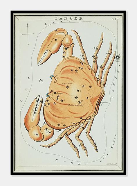 stjernebilledet krebsen  |  SIDNEY HALL - decoARTE