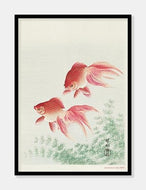 guldfisk  |  OHARA KOSON  |  DECOARTE - decoARTE