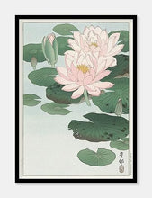 Indlæs billede til gallerivisning åkander  |  OHARA KOSON  |  DECOARTE - decoARTE

