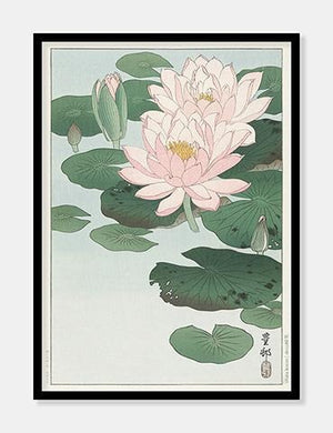 åkander  |  OHARA KOSON  |  DECOARTE - decoARTE