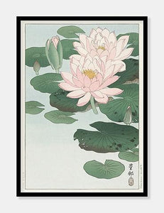 åkander  |  OHARA KOSON  |  DECOARTE - decoARTE