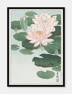 åkander  |  OHARA KOSON  |  DECOARTE - decoARTE