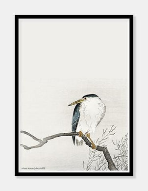 kvak  |  OHARA KOSON  |  DECOARTE - decoARTE