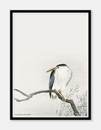 kvak  |  OHARA KOSON  |  DECOARTE - decoARTE