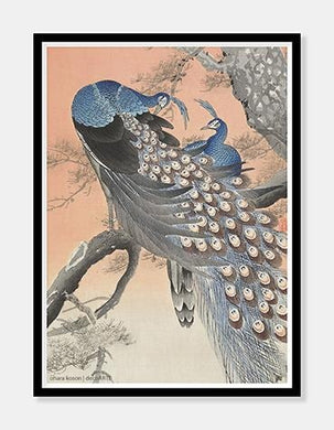påfugle  |  OHARA KOSON  |  DECOARTE - decoARTE