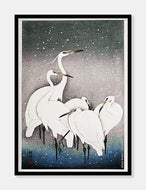 hejrer  |  OHARA KOSON  |  DECOARTE - decoARTE