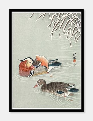 ænder  |  OHARA KOSON  |  DECOARTE - decoARTE