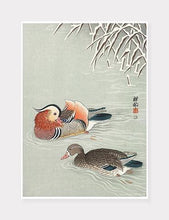 Indlæs billede til gallerivisning ænder  |  OHARA KOSON  |  DECOARTE - decoARTE
