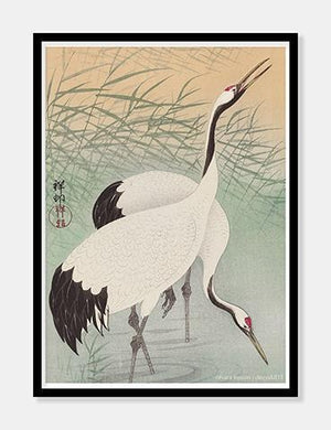 hejrer  |  OHARA KOSON  |  DECOARTE - decoARTE