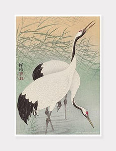 hejrer  |  OHARA KOSON  |  DECOARTE - decoARTE